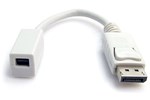 StarTech.com DisplayPort to Mini DisplayPort Video Cable Adaptor - M/F (0.15m)