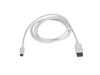 StarTech.com USB C To Displayport Cable 6 ft.