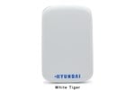Hyundai H2S 750GB Mobile External Solid State Drive in White - USB3.0