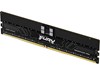 Kingston Fury Renegade Pro 16GB (1x16GB) 5600MHz DDR5 Memory